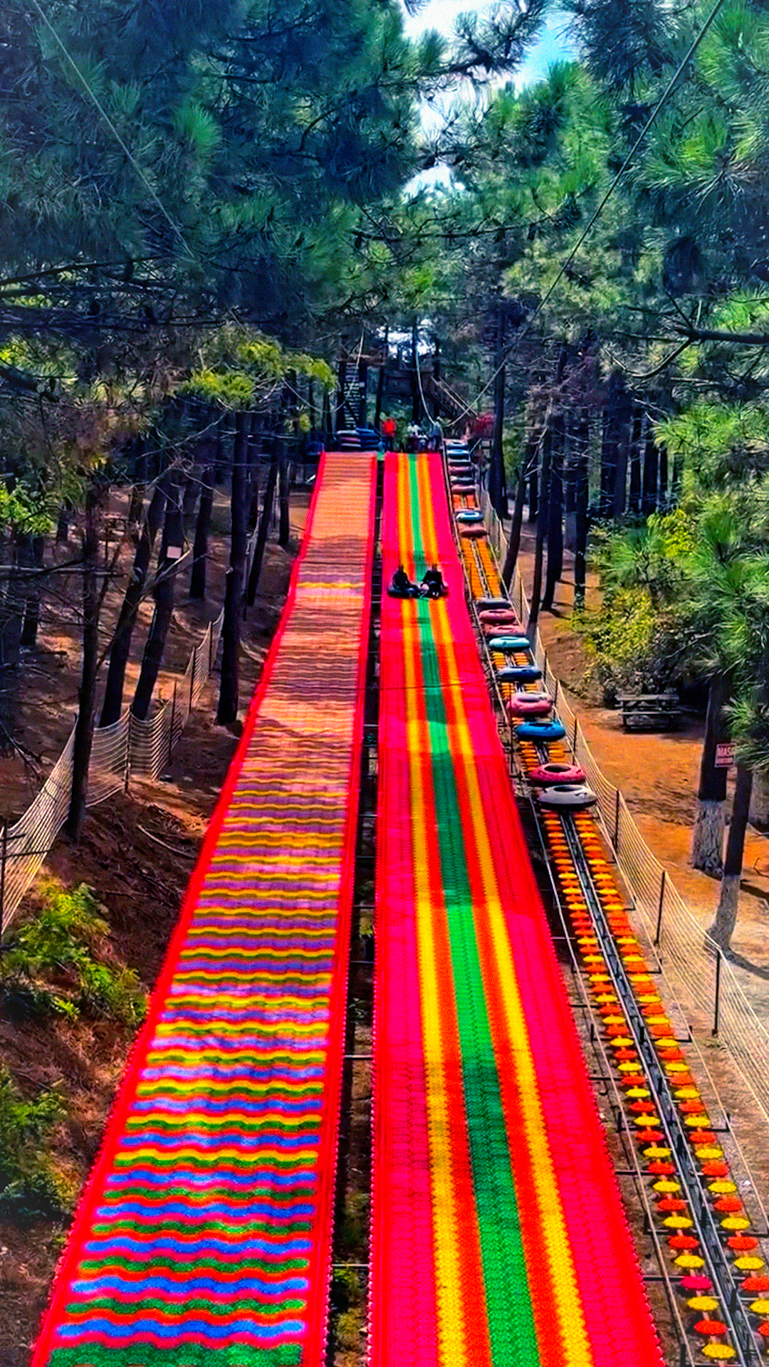 212 Metre Nefes Orman - İSTANBUL